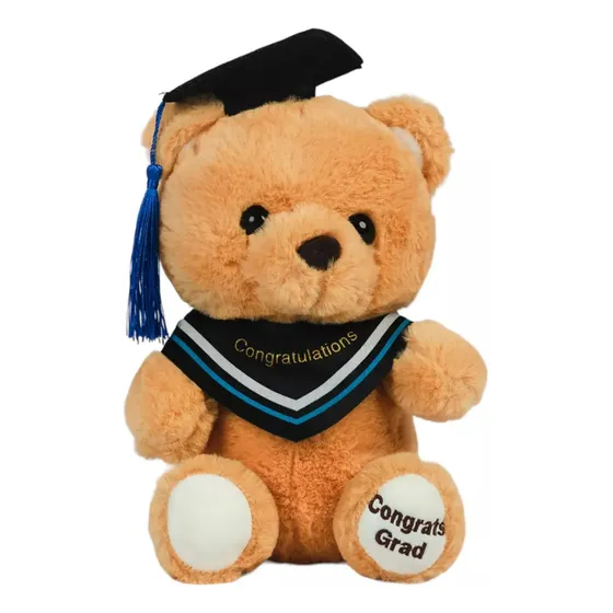 Peluche Oso Graduado. Osito De Graduación Con Birrete #1