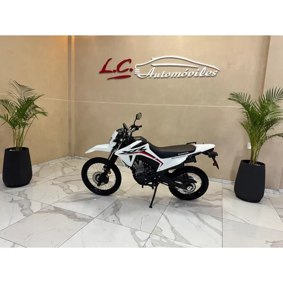 Moto Honda Xr 300 Tornado - 2024