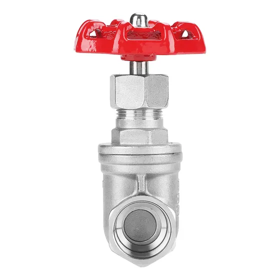 Válvula De Eclusa Dn20 Porta De Aço Inoxidável Bspp G3/4 Par