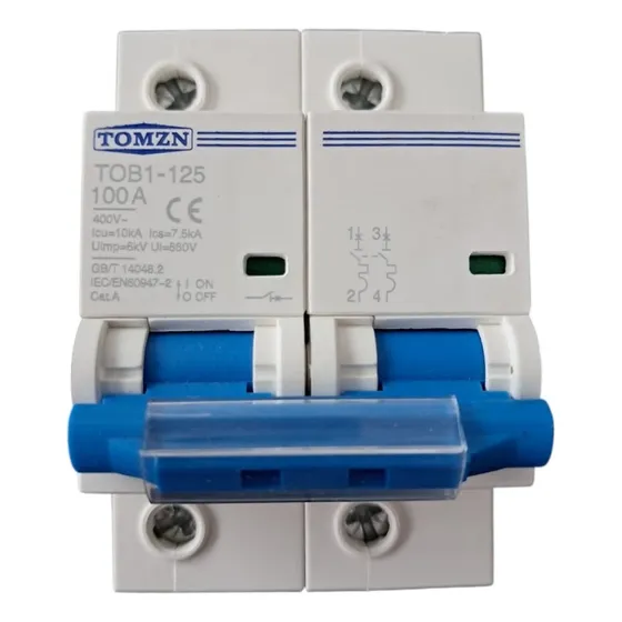 Interruptor Termomagnetico Ac Riel Din 2 Polos 100amp 2x100a