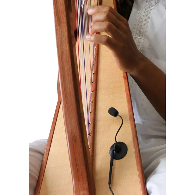 Microfono Arpa Concierto Microcuello Cisne Flexible