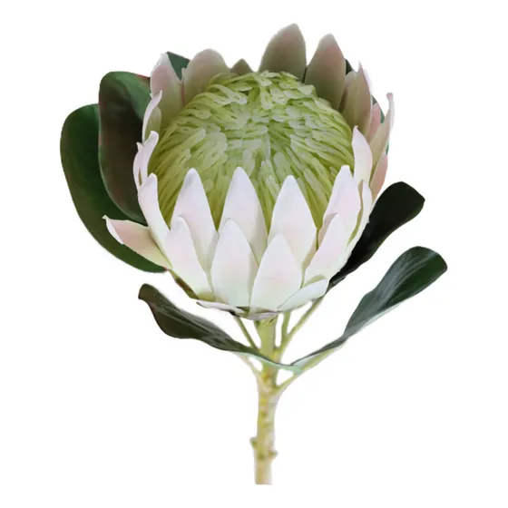 Sala De Estar De Plantas De Simulação Artificial King Flower
