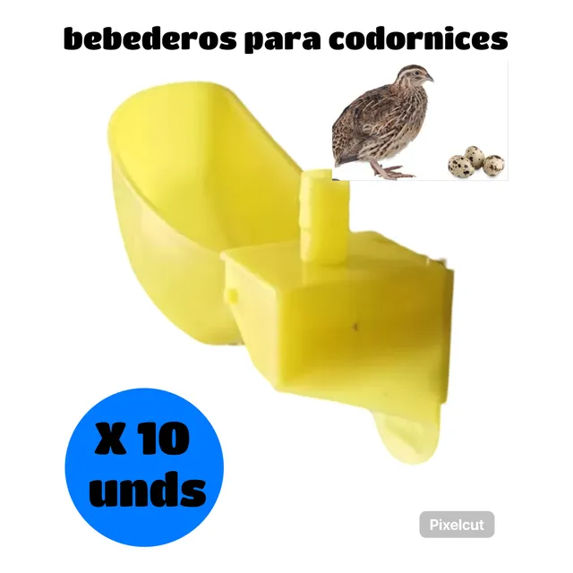 Bebederos Para Codornices