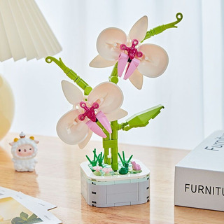 Maceta De Phalaenopsis Con Diseño De Flores Eternas De Build Maceta De Phalaenopsis Con Diseño De Flores Eternas De Build