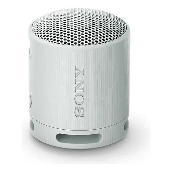Sony Parlante Inalámbrico Portátil Srs-xb100 Color Gris | Cuotas sin interés