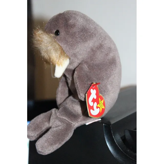 Peluche Foca Ty  Beanie  Jolly  18 Cm Original Cja(66)