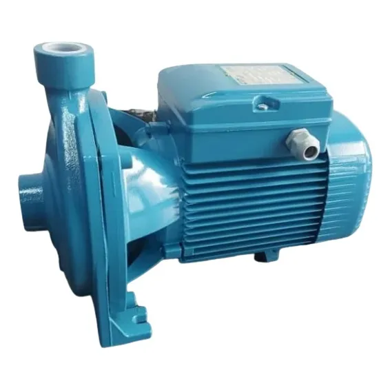 Bomba Centrifuga City Pump (pedrollo) Ic750b 20hp