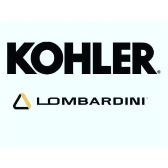 Repuestos Para Tu Motor Lombardini Todos Los Modelos
