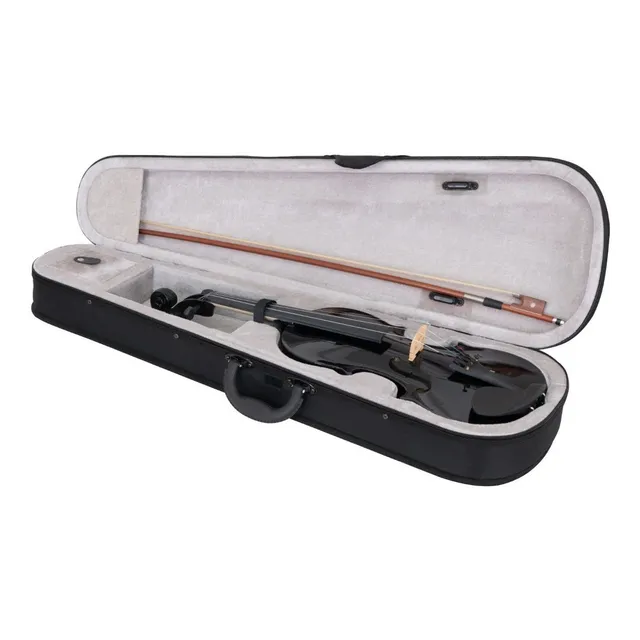 Violin 4-4 Acustico Profesional Madera Estuche Y Accesorios Color Negro Brillante