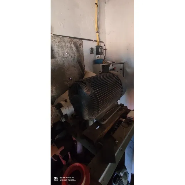 Motor Trifásico 31 Hp