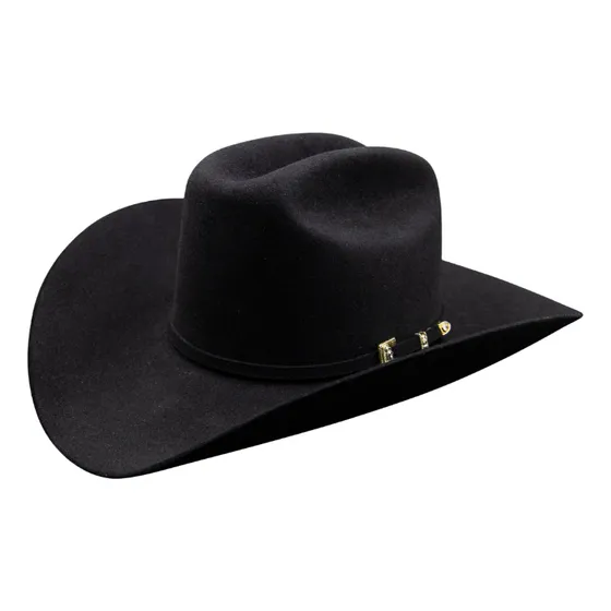Texana Stetson 6x Guadalupana Original
