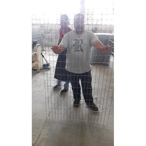 Voladeros Plegable De 1x1.50 Usado En Gallos Paquete De 2 U. Galvanizado