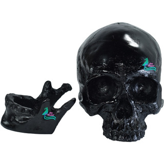 Cráneo Grande Negro, Mandíbula Articulada Esqueleto Calavera Cráneo Grande Negro, Mandíbula Articulada Esqueleto Calavera