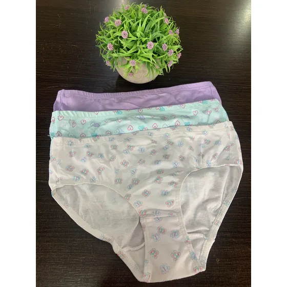 Pantaletas Para Niña Marca Hanes 100% Algodon.