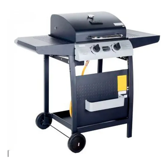 Asador A Gas 2 Quemadores Con Bandejas Laterales Y Tapa