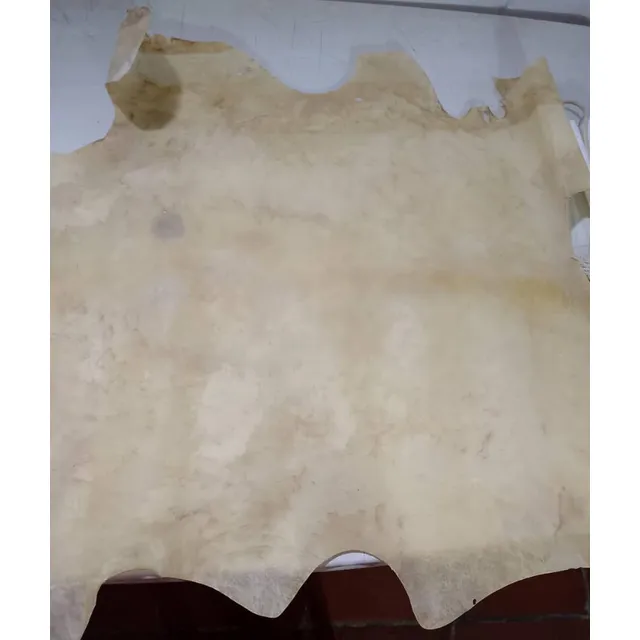 Cuero De Chivo Lámina Completa