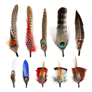 Sombrero De Plumas Elegantes Sombreros De Vaquero De Plumas Sombrero De Plumas Elegantes Sombreros De Vaquero De Plumas