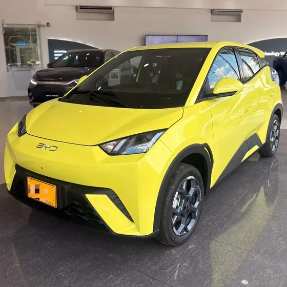 BYD Seagull Ev 2026 0.0 Gs 400
