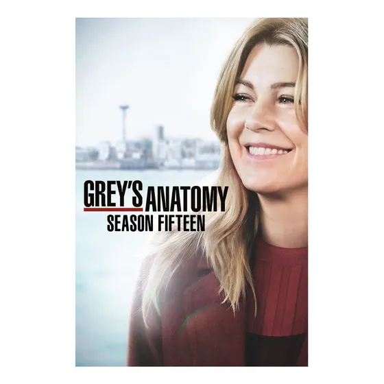 Grey's Anatomy 15ª Temporada Da Série Em Dvd Dub/leg