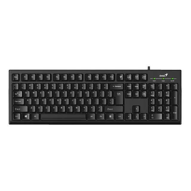 Teclado Genius KB-100 USB Negro