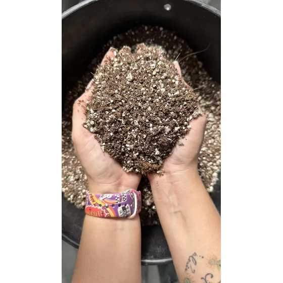 Sustrato Para Cactus Y Suculentas 1kg