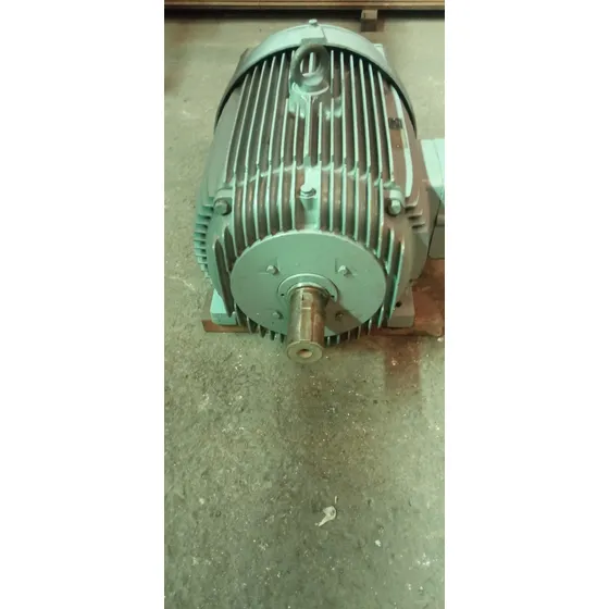 Motor Trifásico 60 Hp