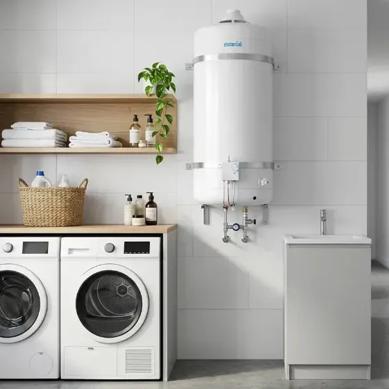 Termotanque multigas Escorial 80L blanco 80L Conexion Superior