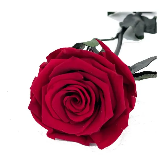 Rosa Eterna Arreglo Flores Excelente Calidad Hiper Realista