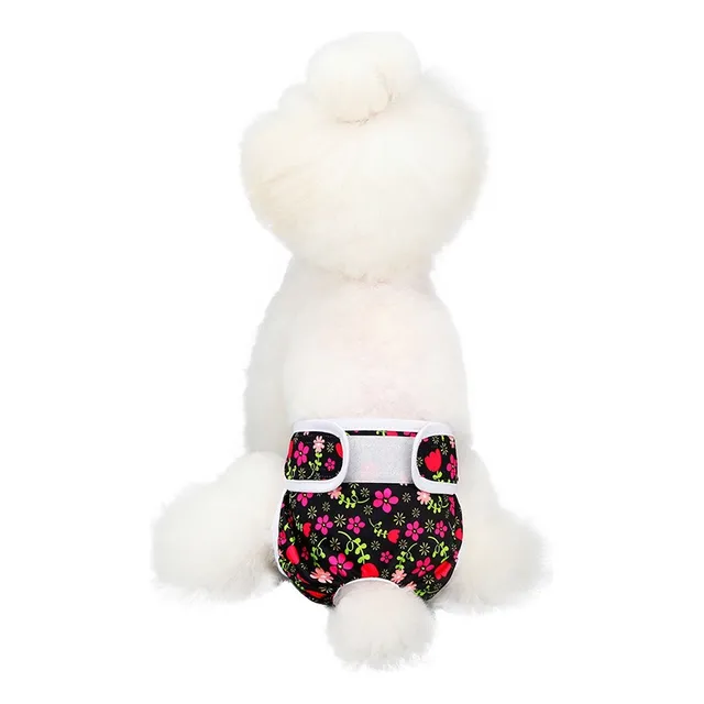 Panty Pañal Absorbente Ecológico Para Perritas - Celo