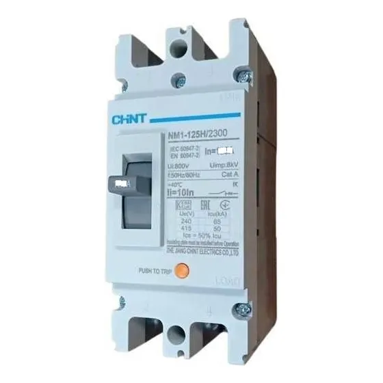 Interruptor Nm1-125h/2300-100a Caja Moldeada 2 Polos De 100a
