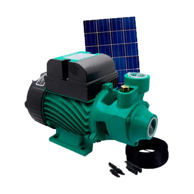Electrobomba Qb60 Taifu 24v 370w 2.1m3 30m 1 Pulgada