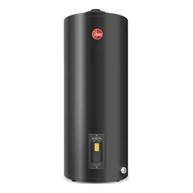 Termotanque Electrico De Pie Rheem Tep125rh Gris 125 Litros Color Negro