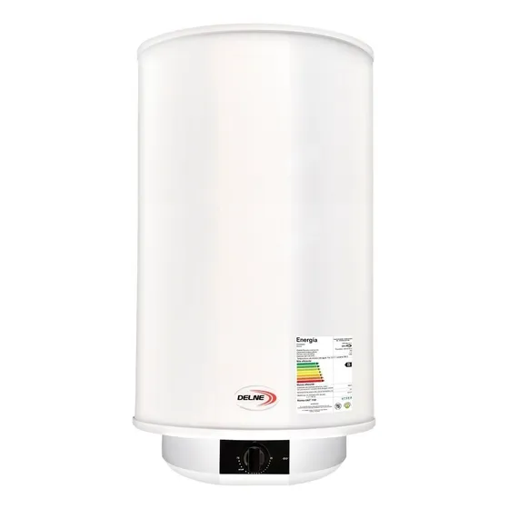 Termotanque 60 Lt Delne Acero Color Blanco