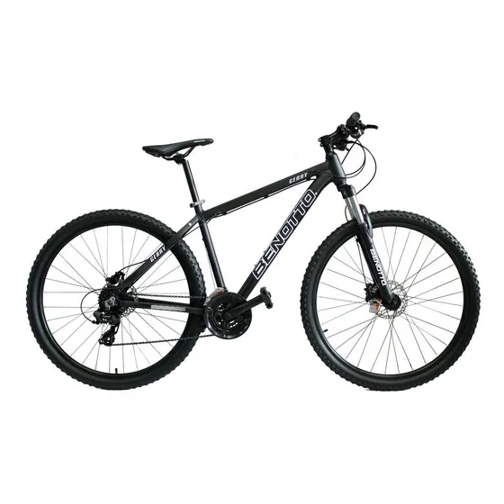 Bicicleta Benotto Gerry Rin 29 Shimano 8  Vel Hidráulico