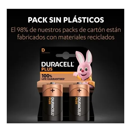 Pack 2 Pilas Alcalinas Duracell Para Calefont D-2