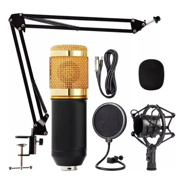 Kit Micrófono Profesional Condensador Soporte Brazo Antipop