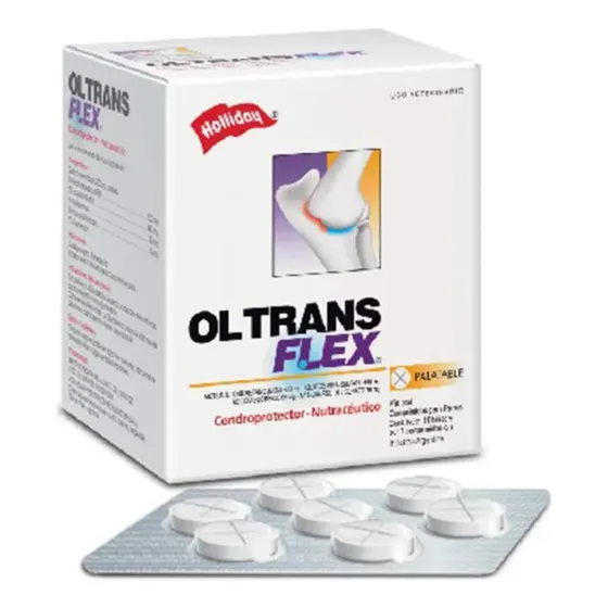 Holliday Articular Ol Trans Condropotector Senior X 70 Compr
