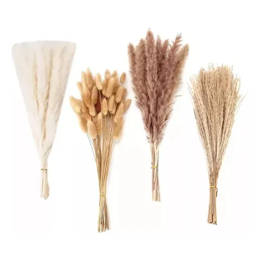 Para  Capim Dos Pampas Plumas Com 110 Peças Natural