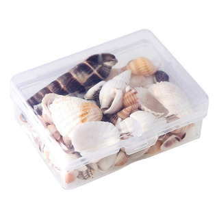 1 Caja De Concha Natural Cuenta Suelta Para Diy Collar 1 Caja De Concha Natural Cuenta Suelta Para Diy Collar