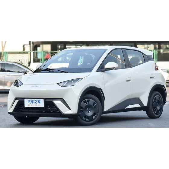 Byd Seagull 0.0 Gli Ev 300