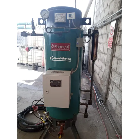 Caldera Vertical De 8hp Con Quemador. Incluye Bomba De 1hp M