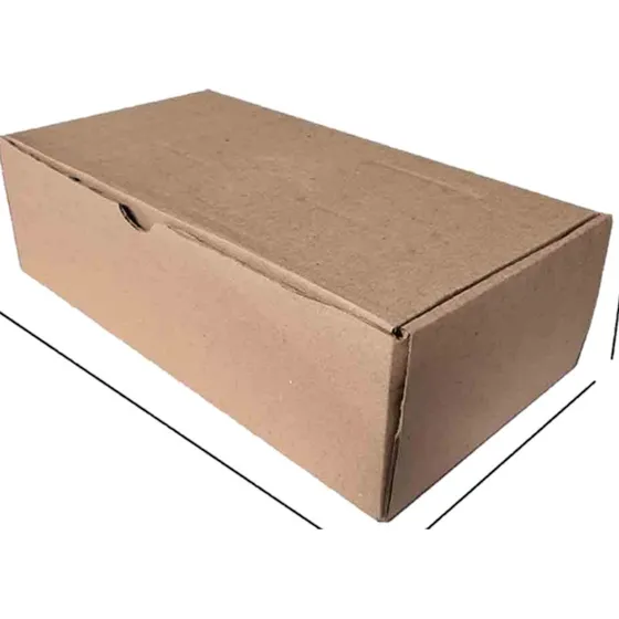 Caja En Carton 20x10x06cm. Autoarmable