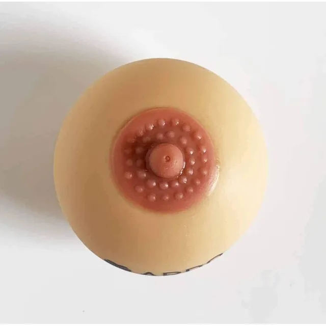 Seno Teta De Silicon, Modelo De Mama Educativo