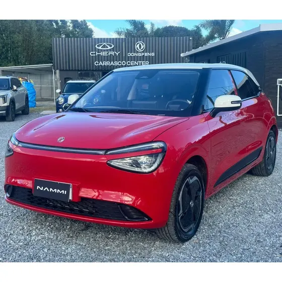 Dongfeng Nammi 2026 0.0 330 Eu (31,4 Kwh)
