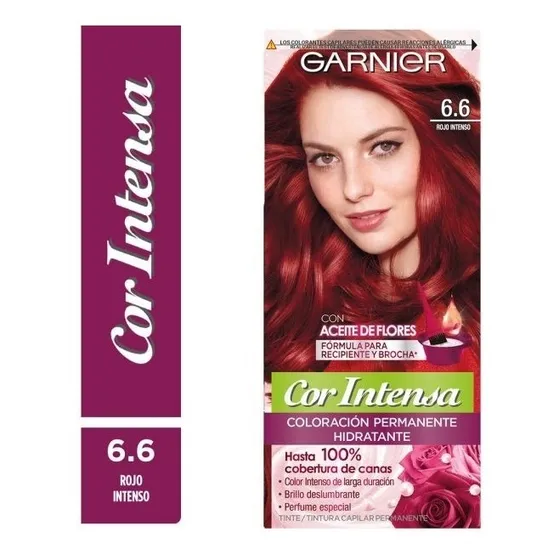 Tinte Garnier Rojo Intenso Nro 6.6