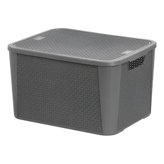 Caja Canasto Cesto Organizador Simil Rattan 42lts 47x36x28cm