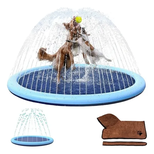Piscina Pileta Inflable Grande 170 Cm 