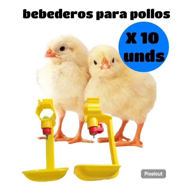 Bebederos Automático Para Aves + Copas