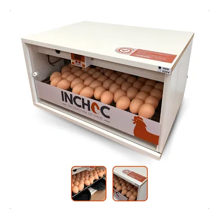 Chocadeira 70 Ovos Galinha Rolagem Automatica Envios Full