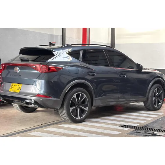 Cupra Formentor 2.0 Tsi Mate Dsg